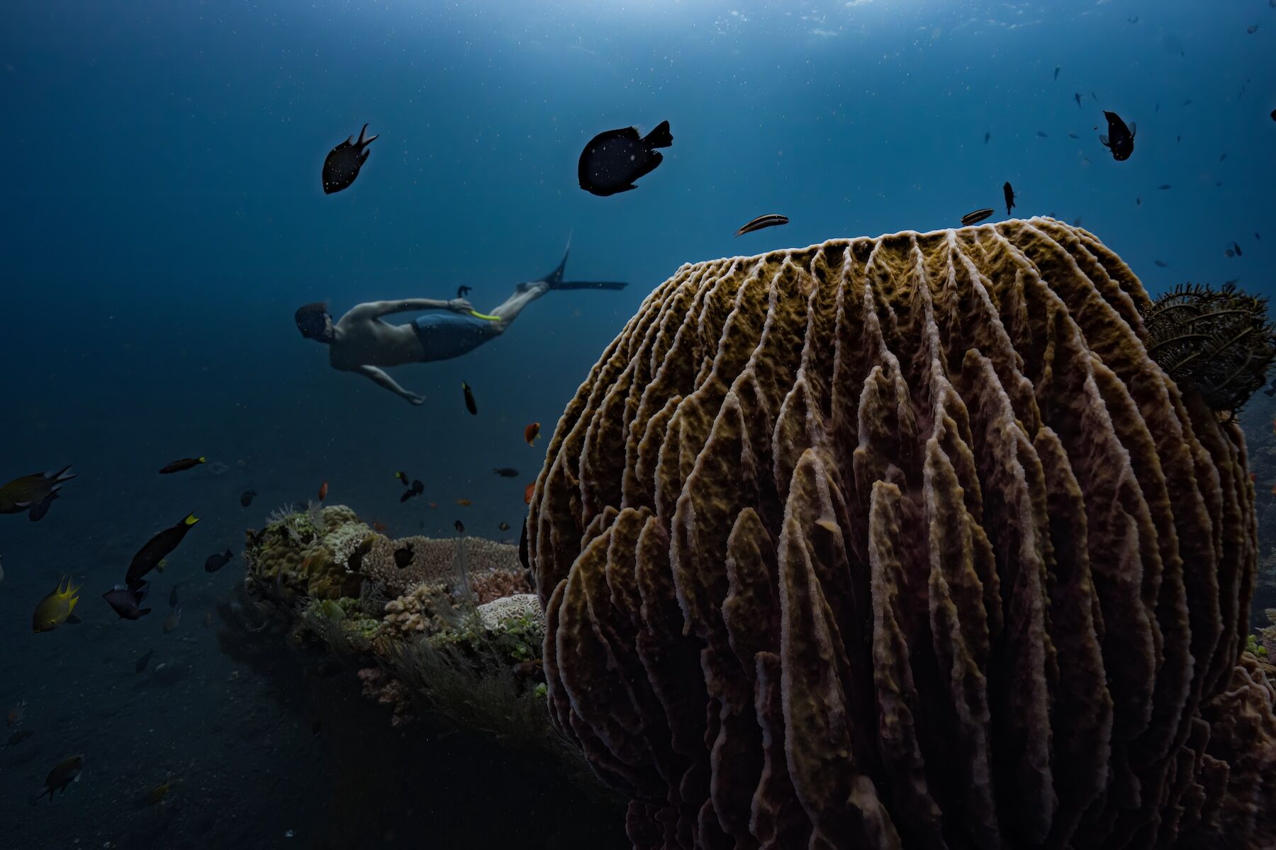 Dive Sites